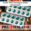 Wofür Wird Kamagra-Gelee Verwendeto dapoxetine2